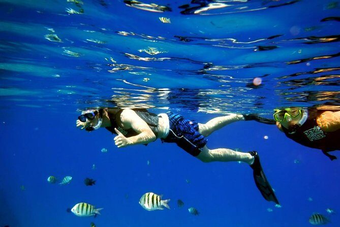 Shared 2 hours Sosúa Bay Snorkeling with Professional Guide - Key Points