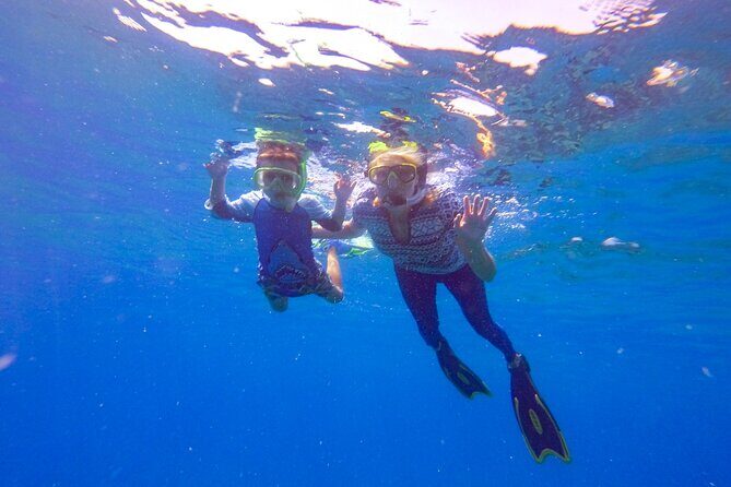 Shared 2 hours Sosúa Bay Snorkeling with Professional Guide - Practical Tips for Travelers
