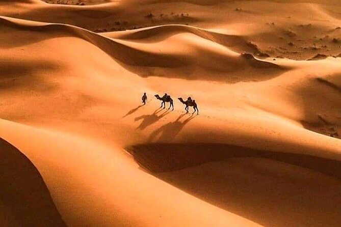 Shared 3 Day Desert Safari Experience tour from Marrakech to Merzouga - FAQs