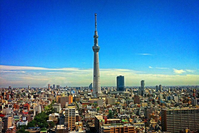 Shared Arrival Transfer : Narita International Airport to Hotel (Central Tokyo) - The Experience: Pros and Cons