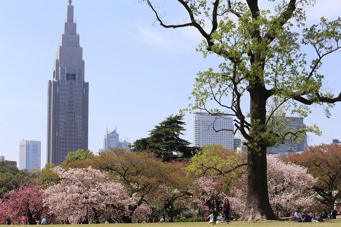 Shared Arrival Transfer : Narita International Airport to Hotel (Central Tokyo) - FAQ