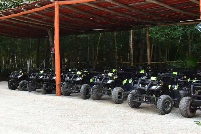 Shared ATV Tour Ziplines and Cenote with Lunch - An In-Depth Look at the Tour Experience