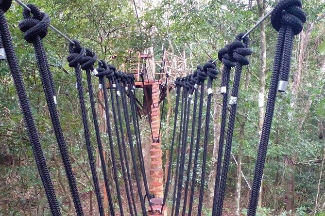 Shared ATV's and Zip Lines and Swimming in a Real Cenote. - A Well-Balanced Adventure Suitable for Active Travelers