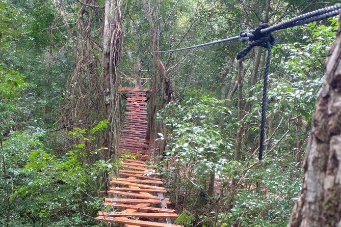 Shared ATV's and Zip Lines and Swimming in a Real Cenote. - Frequently Asked Questions
