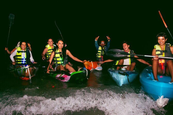 Shared Bioluminescence kayak tour in Holbox - Why Choose This Tour?