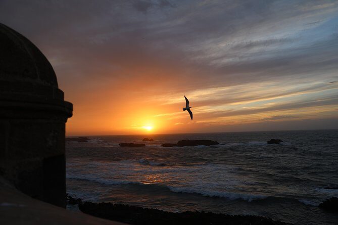 Shared Day Trip To Essaouira From Marrakech - Local Experiences and Cultural Insights