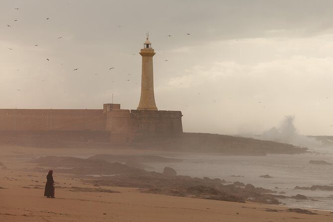 Shared Day Trip To Essaouira From Marrakech - Who Will Enjoy This Trip?