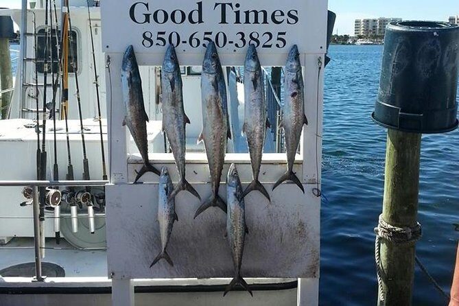 Shared Deep Sea Fishing Trip from Destin - What to Expect from the Shared Deep Sea Fishing Trip