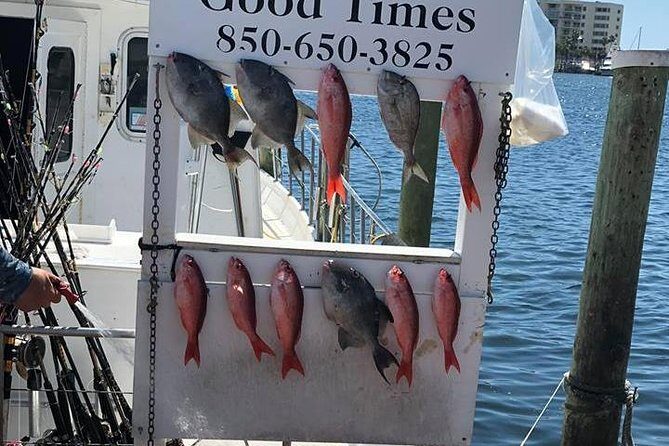 Shared Deep Sea Fishing Trip from Destin - Who Will Love This Trip?