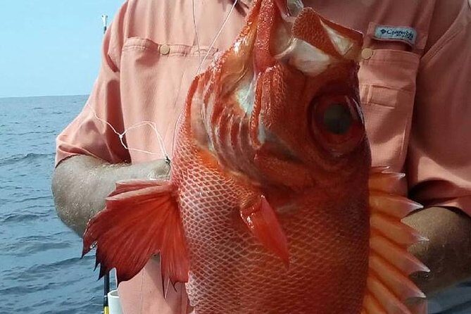 Shared Deep Sea Fishing Trip from Destin - FAQs about the Destin Deep Sea Fishing Trip