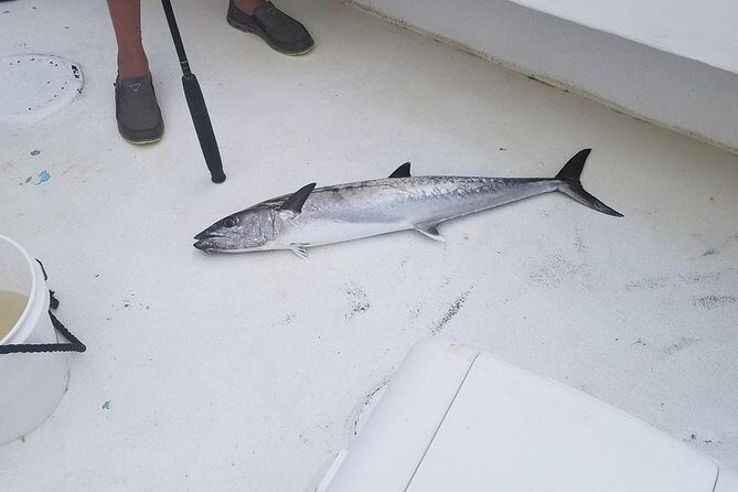 Shared Deep Sea Fishing Trip from Destin - Final thoughts