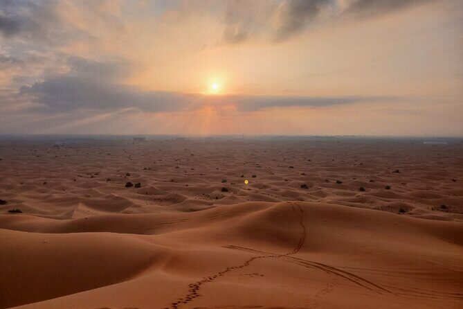 Shared Desert Safari Tour Dubai with Dinner Included - A Detailed Look at the Tour Experience