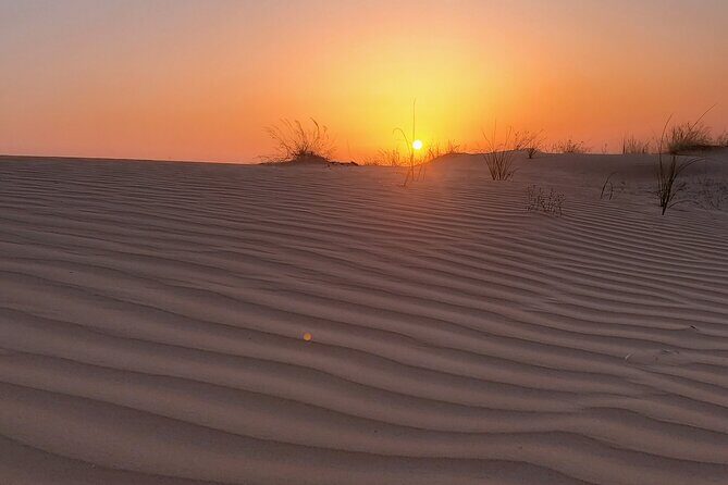 Shared Desert Safari Tour Dubai with Dinner Included - Final Thoughts