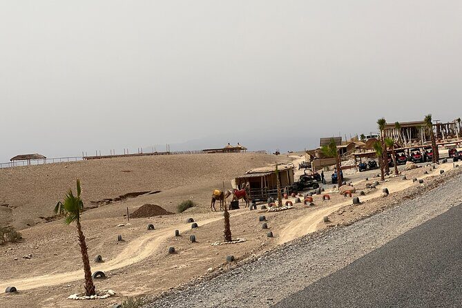 Shared Excursion to Agafay Desert with Camel Ride from Marrakech - What Makes This Tour Stand Out?