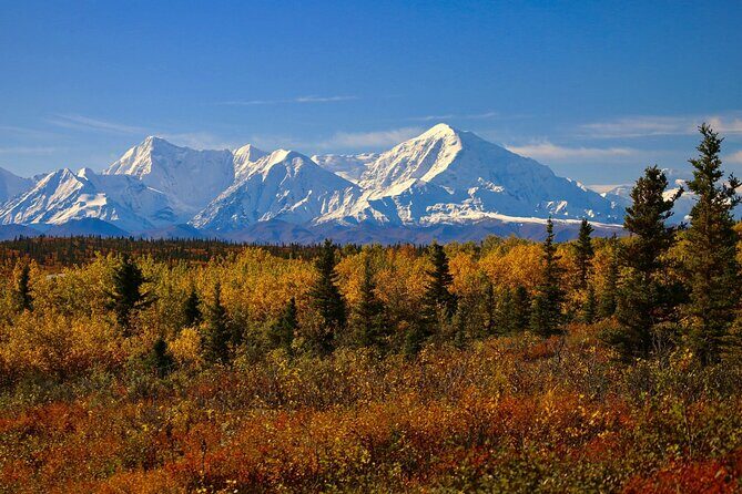 Shared Fairbanks to Denali National Park Entrance Transport - The Journey in Detail: What You Can Expect