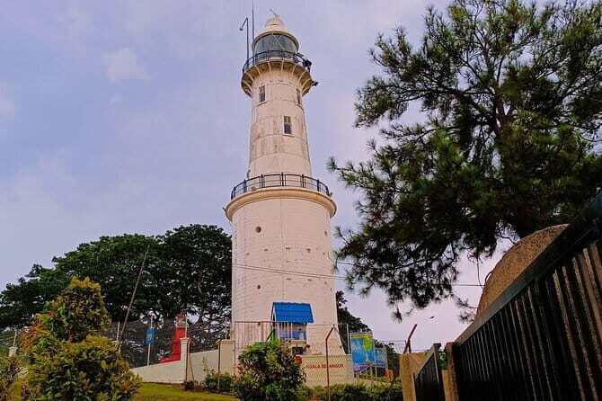 Shared Fireflies Tour with Blue Tears and Seafood Dinner - A Deep Dive into the Experience