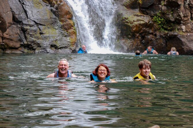 Shared Food & Waterfall Tour in Honolulu - Transport, Timing, and Group Size