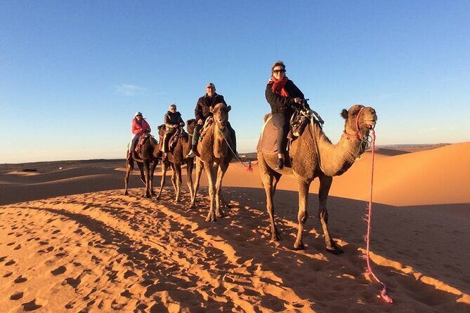 Shared Group 3 Days/2Nights: Fez to Marrakech Sahara Tour - What Makes This Tour Stand Out?