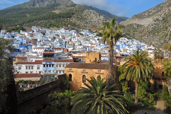 Shared Group Chefchaouen Day Trip from Fez - The Sum Up