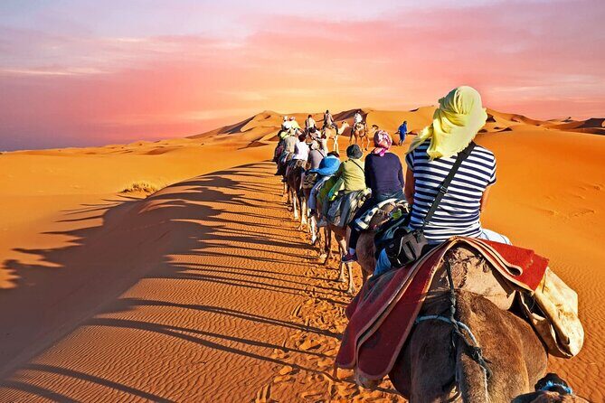 Shared group Fez to Fez Sahara tour 2Days/1Night - Practical Details: Transportation, Timing, and Group Size