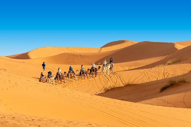 Shared group Fez to Fez Sahara tour 2Days/1Night - FAQ