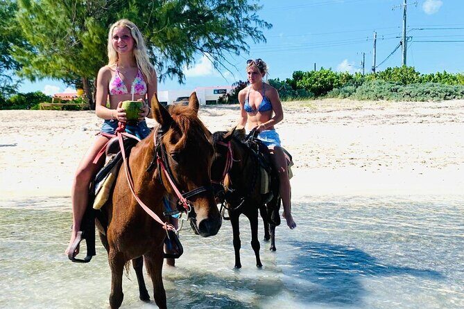Shared Horseback Riding in Turks and Caicos - What to Expect from the Horseback Riding Tour