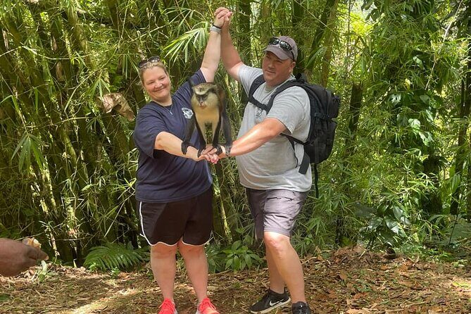 Shared Island Tour with Lunch & Admissions - Authentic Experiences That Shine