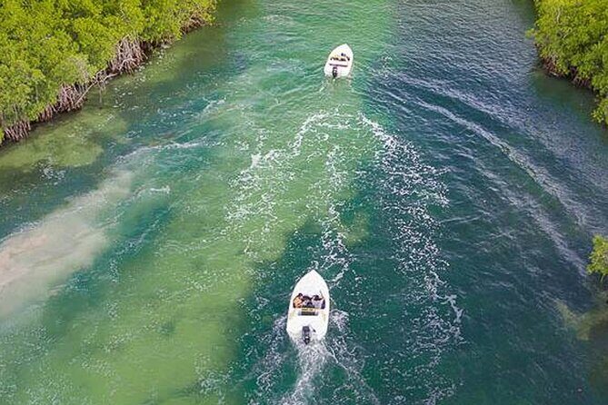 Shared Jungle Speed Boat Tour in Cancun - An Overview of the Experience