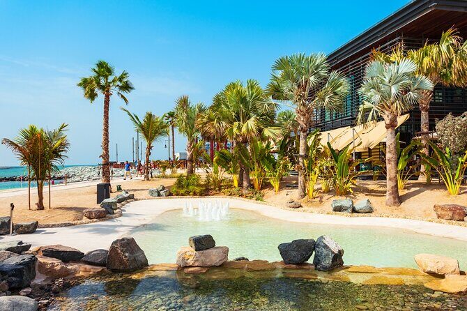 Shared La Mer Beachfront Tour in Dubai - The Value and Price Point