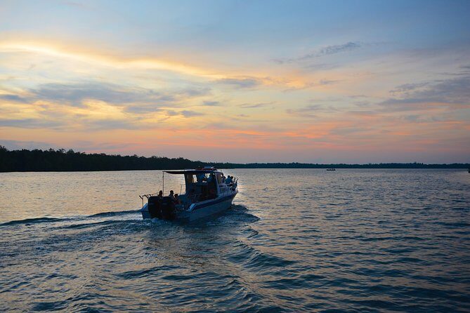 Shared Mangrove & Irrawaddy Dolphin Watching Cruise - Key Points
