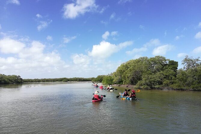 Shared mangroves kayak tour in Holbox - Frequently Asked Questions