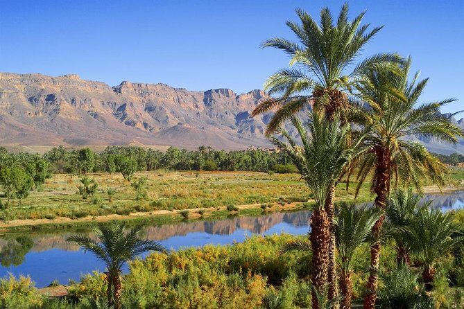 Shared Marrakech Desert Tour with Luxury camp - Who Should Consider This Tour?