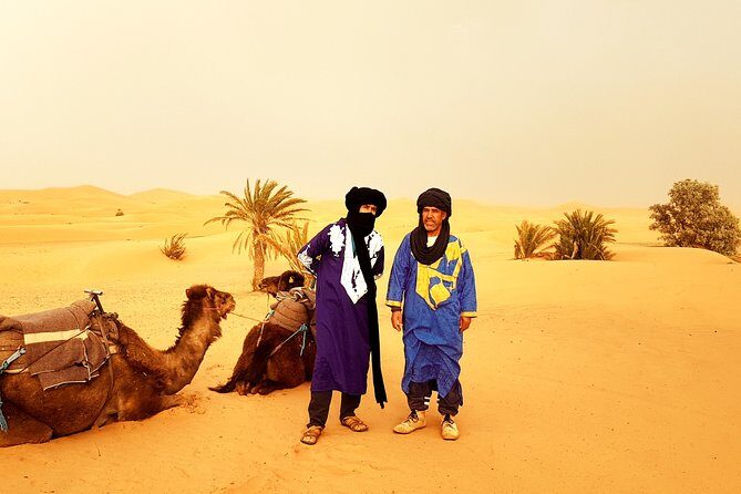 Shared Marrakech Desert Tours - An In-Depth Look at the Itinerary and Experience