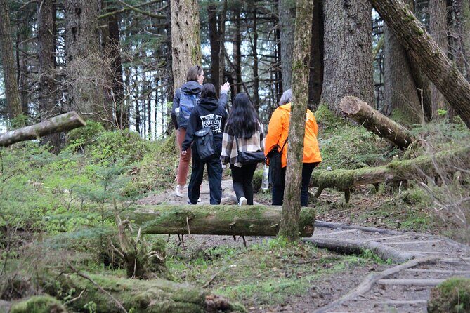 Shared Mindfulness in Wilderness Tour From Alaska - What Makes This Tour Stand Out?