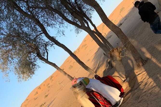 Shared Morning Safari - What Makes the Shared Morning Safari Stand Out