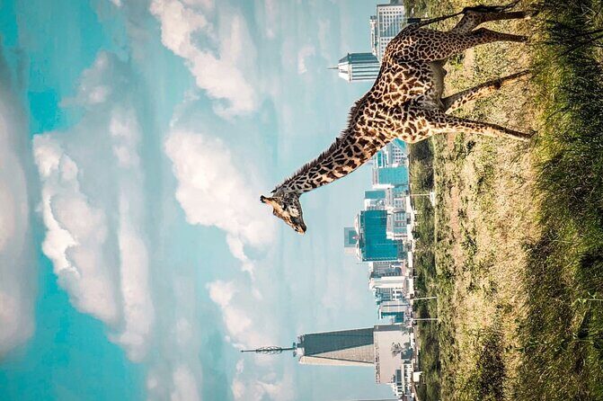 Shared Nairobi National Park Safari Tour - The Sum Up: Is It Worth It?