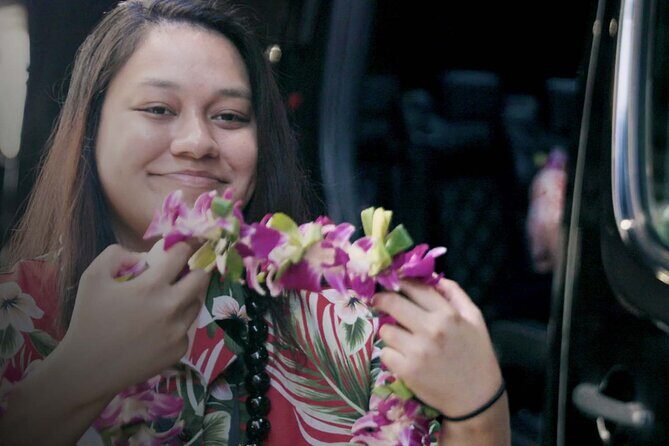 Shared Round-Trip Transfer: Honolulu Airport to Hotel or Cruise Terminal - Experience and Practical Details