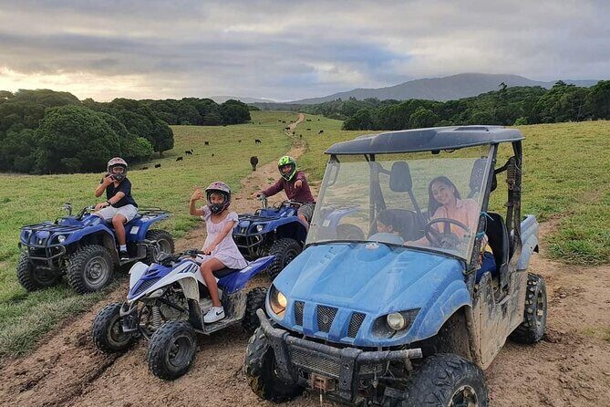 Shared Shuttle Return Transfers (ex Cairns) Transfers Only - Who Will Love This Tour?