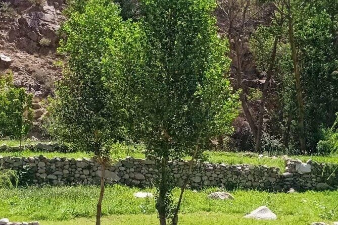 Shared Sightseeing Tour to Ourika Valley with Transfer Included - Final Thoughts