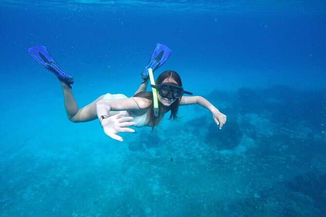 Shared Sky Snorkeling in Cozumel - Setting the Scene: What You Can Expect on the Tour
