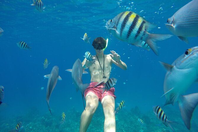 Shared Sky Snorkeling in Cozumel - Value and Overall Impression