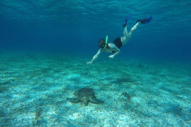 Shared Sky Snorkeling in Cozumel - Who Should Consider This Tour?