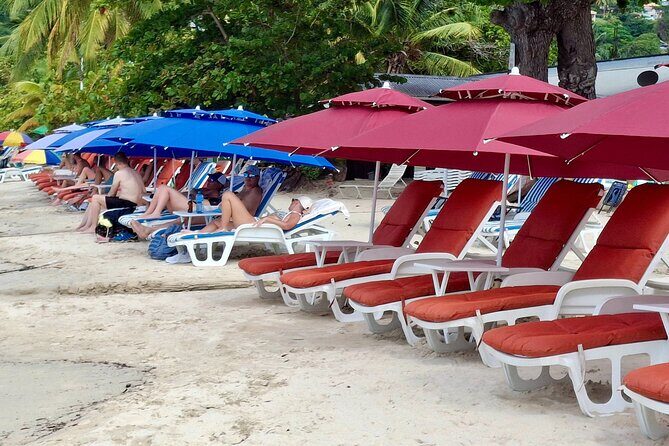 Shared Tour: Annandale Waterfalls, Forts & Grand Anse Beach. - Key Points