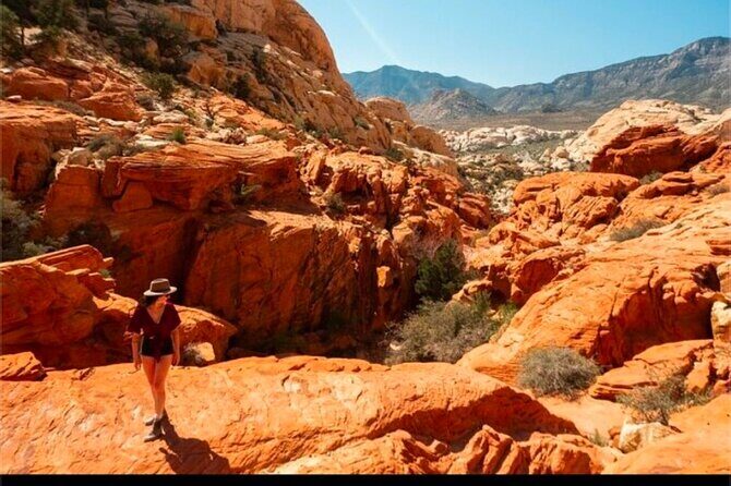 Shared Tour in Red Rock Canyon - An In-Depth Look at the Tour Experience
