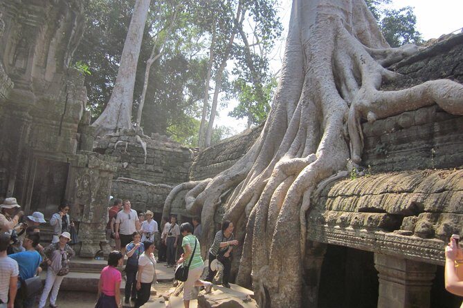 Shared Tour to Angkor Wat, Bayon and Ta Prohm Temples - Why Choose This Tour? A Deep Dive