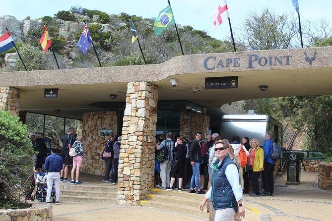 Shared Tour to Cape of Good Hope Penguins Chapman's Peak From Cape Town Full Day - Who Should Book This Tour?