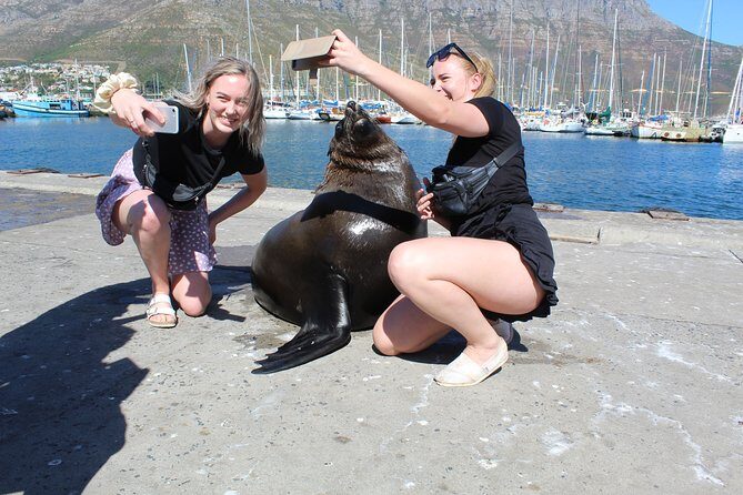Shared Tour to Cape of Good Hope Penguins Chapman's Peak From Cape Town Full Day - The Sum Up