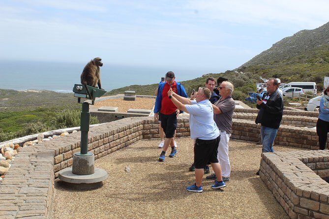 Shared Tour to Cape of Good Hope Penguins Chapman's Peak From Cape Town Full Day - FAQs