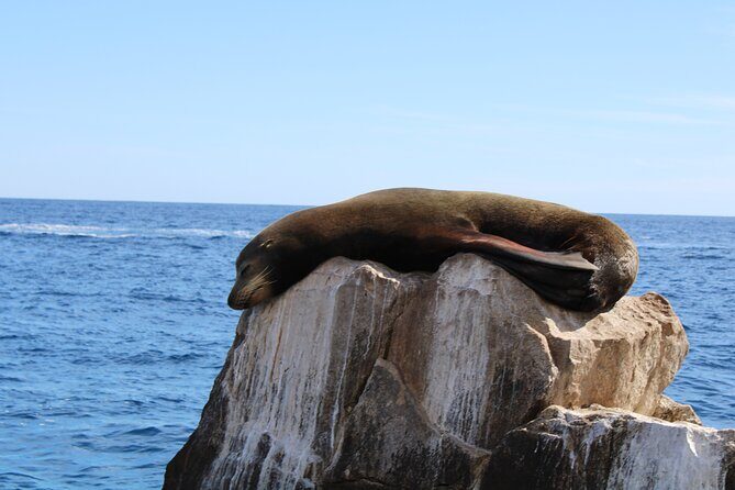 Shared Tour to the Arch of Cabo San Lucas - The Experience: What Youll Actually Do