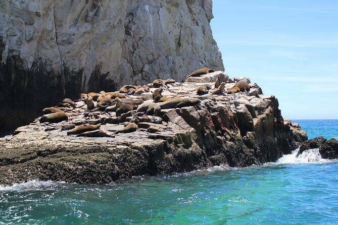 Shared Tour to the Arch of Cabo San Lucas - FAQ